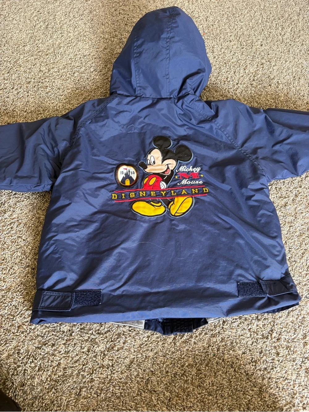 Disney official mickey